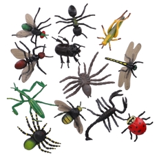Insects from Hope Education - Pack of 12